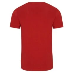 FJÄLLRÄVEN FOREST MIRROR T-SHIRT M Herren - T-Shirt 6 FJÄLLRÄVEN FOREST MIRROR T-SHIRT M Herren - T-Shirt -FJÄLLRÄVEN Verkaufsgeschäft 5637811472 b forest mirror tshirt m fjaellraeven 24