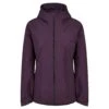 Jack Wolfskin BESLER 2L JKT W Damen - Regenjacke